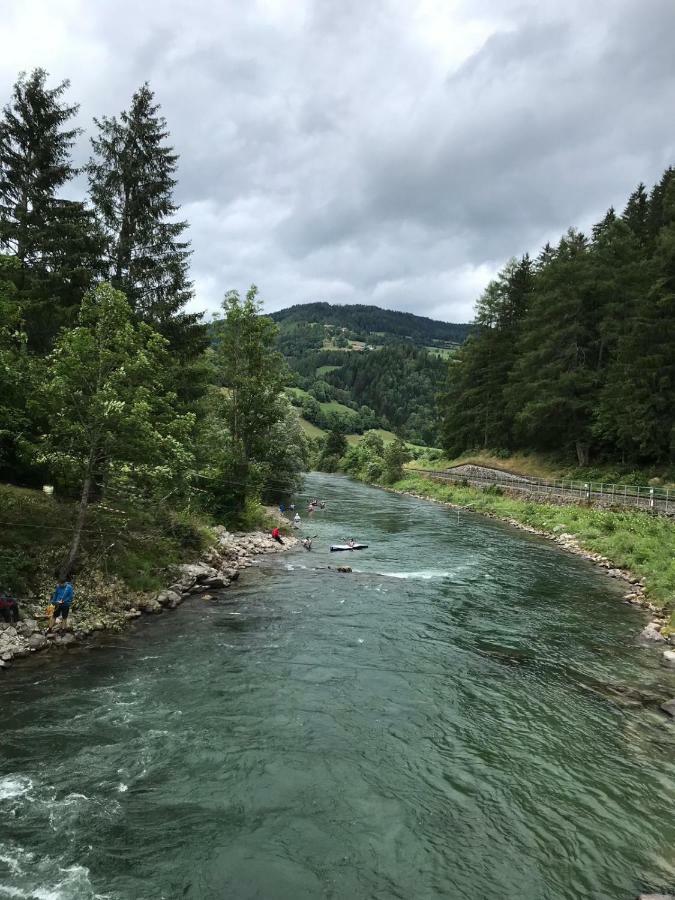 Wohlfuehlpension Kreischberg Inklusive Murau Sommergaestecard Ab 2 Naechte Занкт-Ґеорґен-об-Мурау Екстер'єр фото