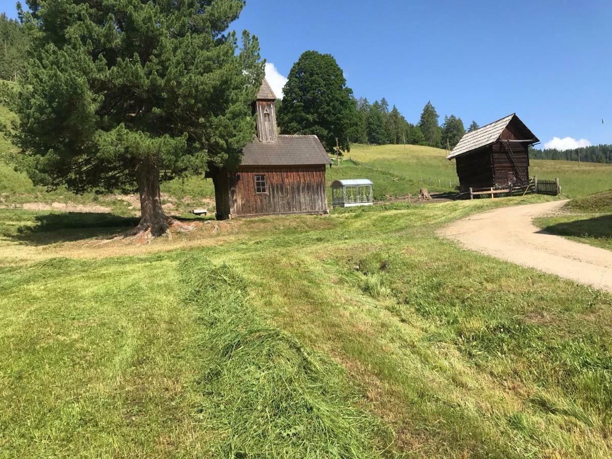 Wohlfuehlpension Kreischberg Inklusive Murau Sommergaestecard Ab 2 Naechte Занкт-Ґеорґен-об-Мурау Екстер'єр фото