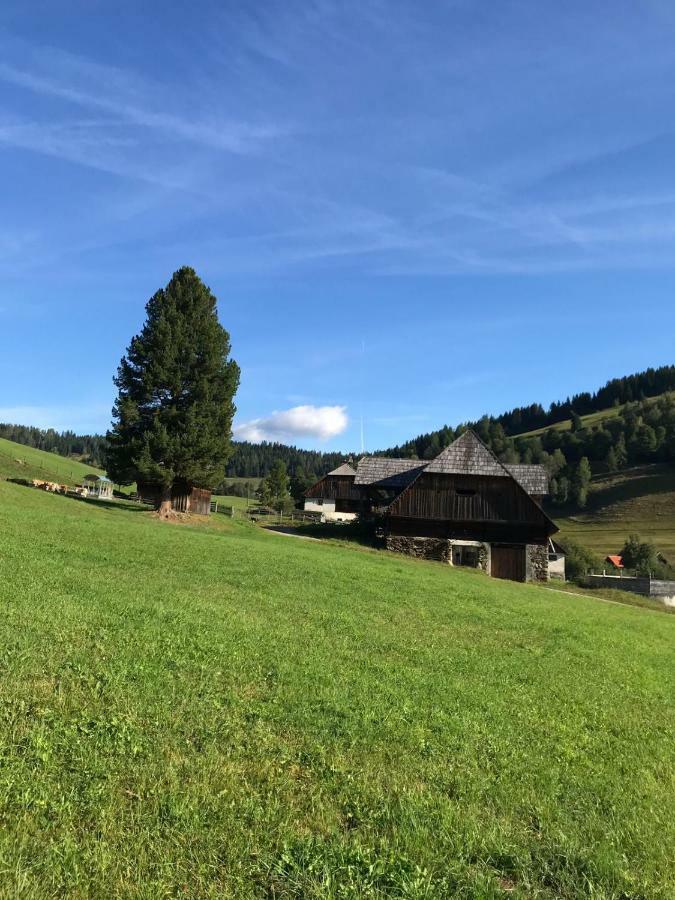 Wohlfuehlpension Kreischberg Inklusive Murau Sommergaestecard Ab 2 Naechte Занкт-Ґеорґен-об-Мурау Екстер'єр фото